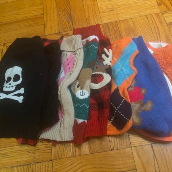 8 Boy Dog Sweaters